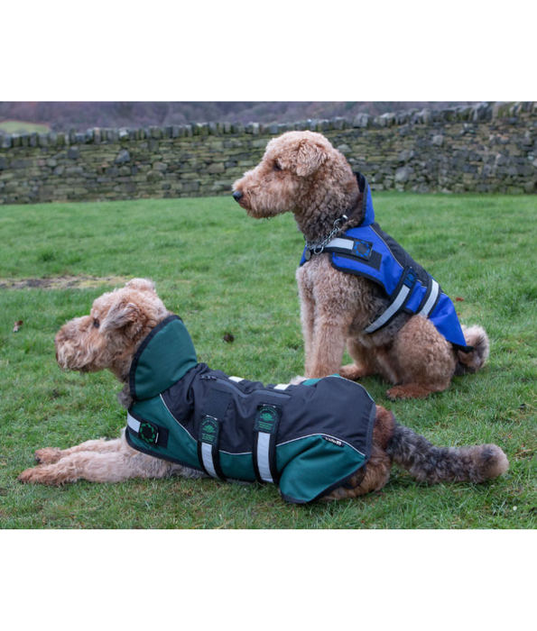 Animate Reflective Black/Blue Unpadded Harness coat plus collar 61cm