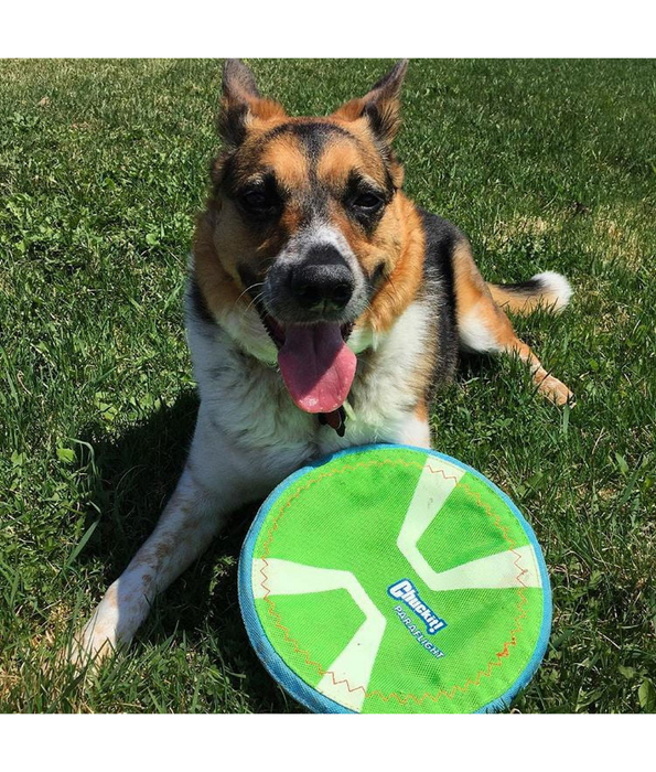 The Chuckit! Beach Play Pack – Floating Trio Toys for Active Dogs (Frisbee, Roller & Tug) 3 in 1 Bundle