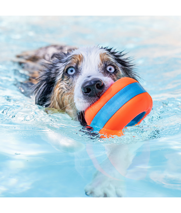 The Chuckit! Beach Play Pack – Floating Trio Toys for Active Dogs (Frisbee, Roller & Tug) 3 in 1 Bundle