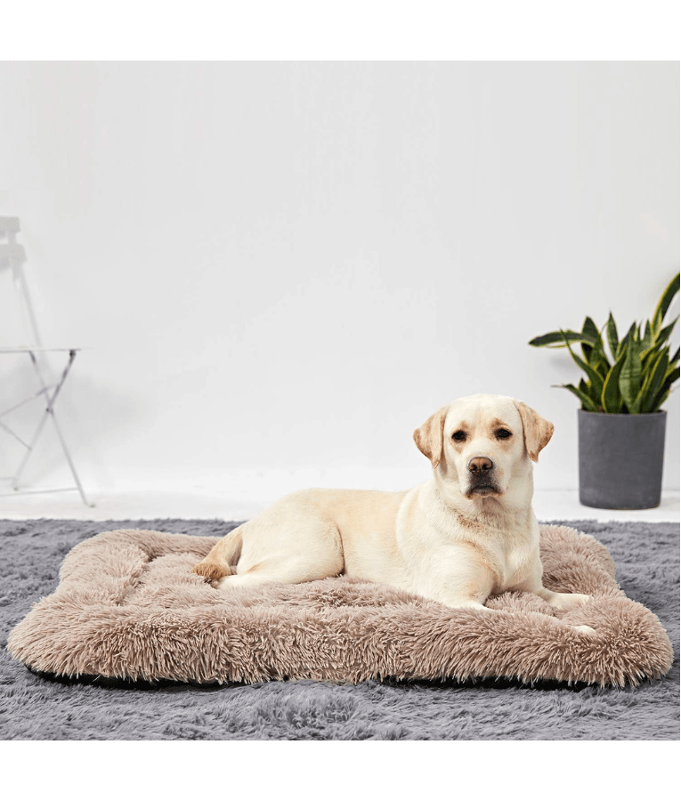 Cuddlove - Plush Crate Mattress for Dogs, Greige Faux Fur, Anti-Slip, Washable - Small, Medium, Large