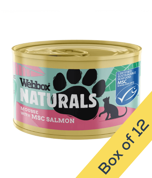 Webbox Webbox Naturals Mousse With MSC Salmon Wet Cat Food 85g
