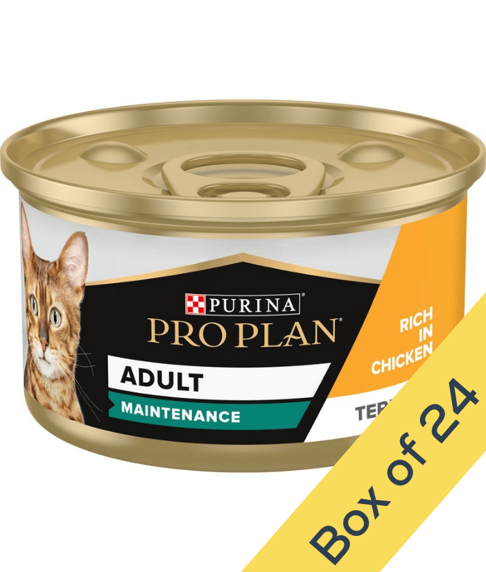 Purina Pro Plan Adult Maintenance, Wet Cat Food, Terrine Rich in Chicken 85g
