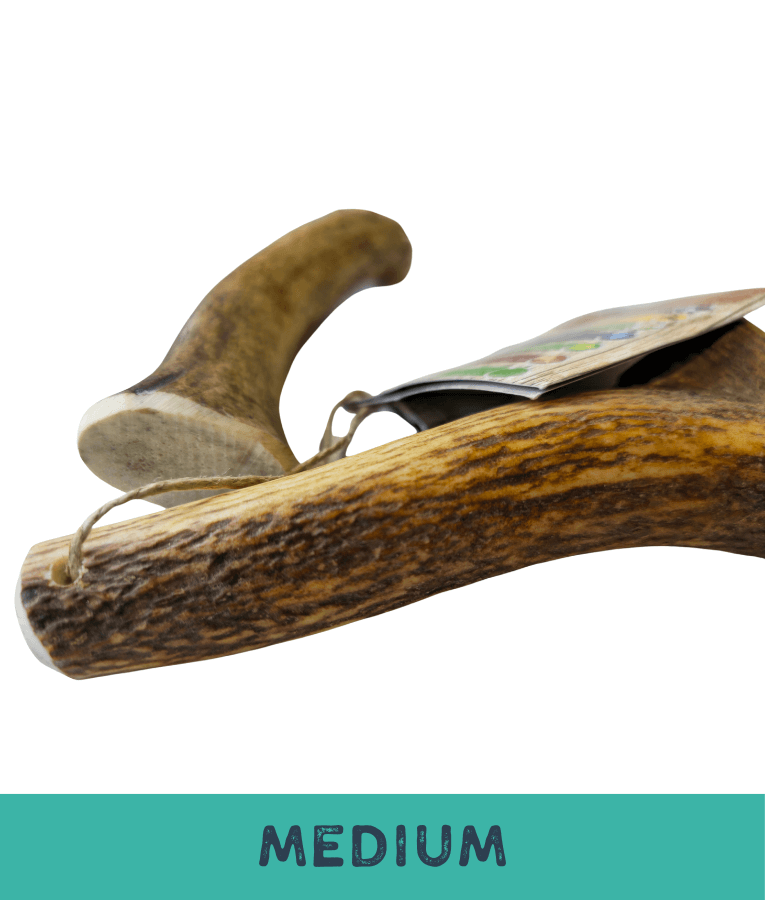 Bubimex - Natural Deer, Original Antler for Dogs – Split Chew, S - M - L - XL For All Breeds