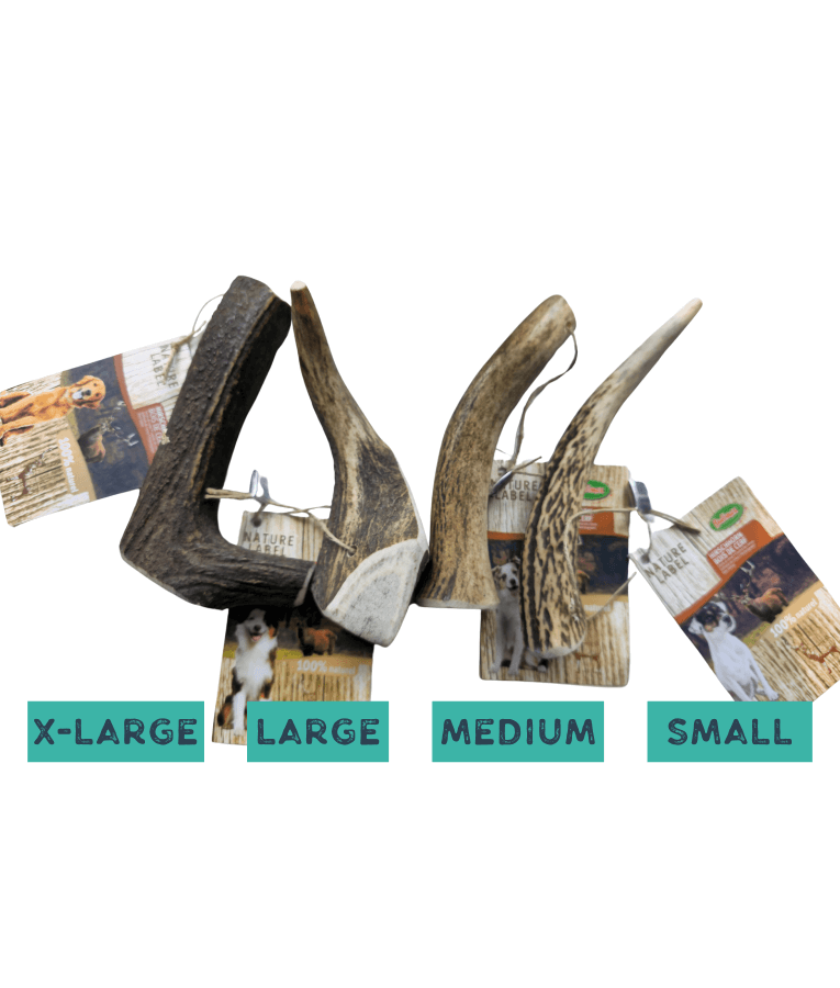 Bubimex - Natural Deer, Original Antler for Dogs – Split Chew, S - M - L - XL For All Breeds