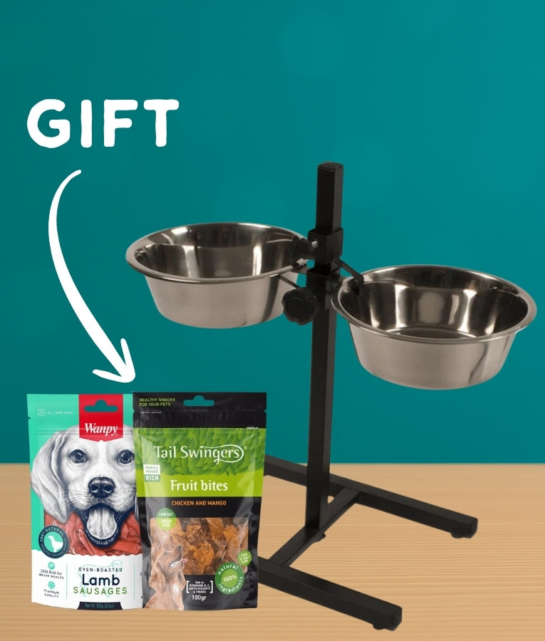 Duvo H Stand Feeder + Free Treats