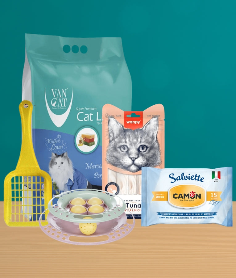 Little Paws Bundle – Kitten Essentials