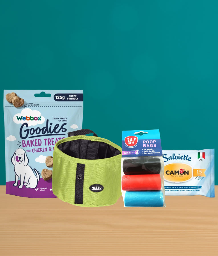 Out & About Bundle