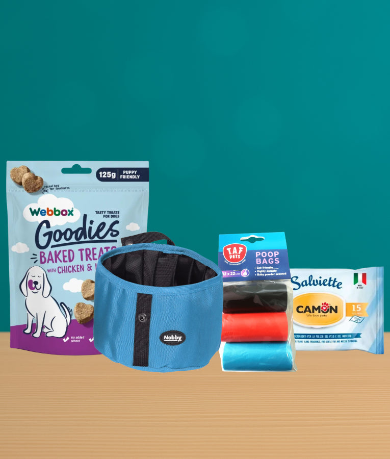 Out & About Bundle