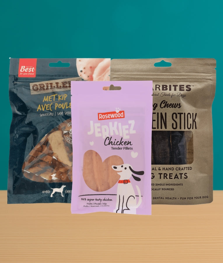 Dog Chicken Dream Bundle