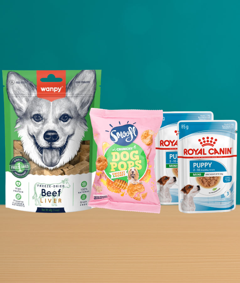 Mini Puppy Essentials Bundle