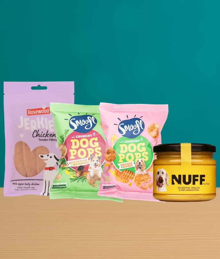 Snack Attack Bundle