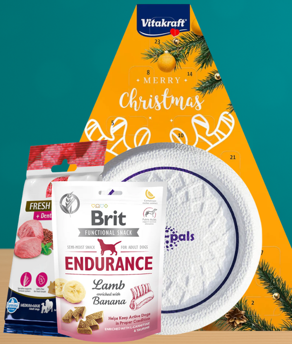 Festive Feast Bundle  Medium - Large