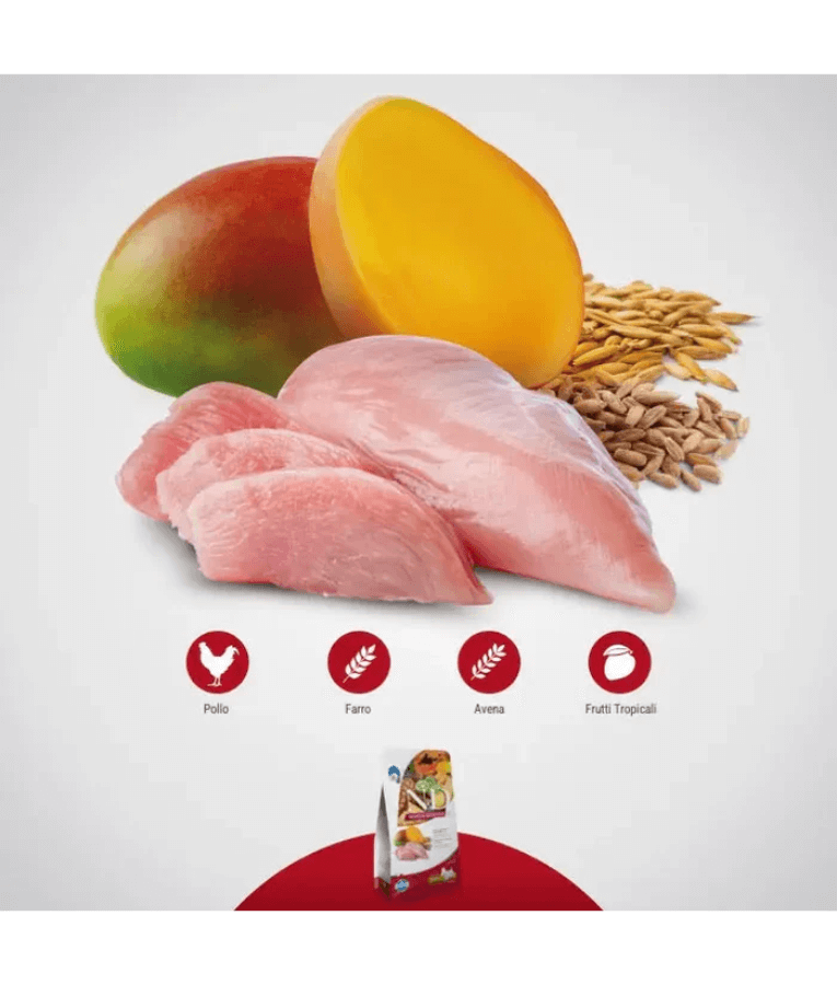 Farmina - N&D Tropical Selection, Chicken and Tropical Fruits Adult Dry Dog Food For Medium & Maxi Breeds 10kg