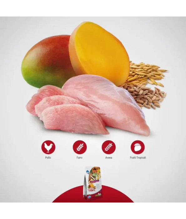 Farmina - N&D Tropical Selection, Chicken and Tropical Fruits Adult Dry Dog Food For Medium & Maxi Breeds 10kg