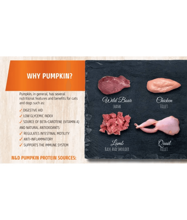 Farmina - N&D Pumpkin, Lamb, and Blueberry Adult Dog Wet Food In Gravy 285g - For Immunity Support