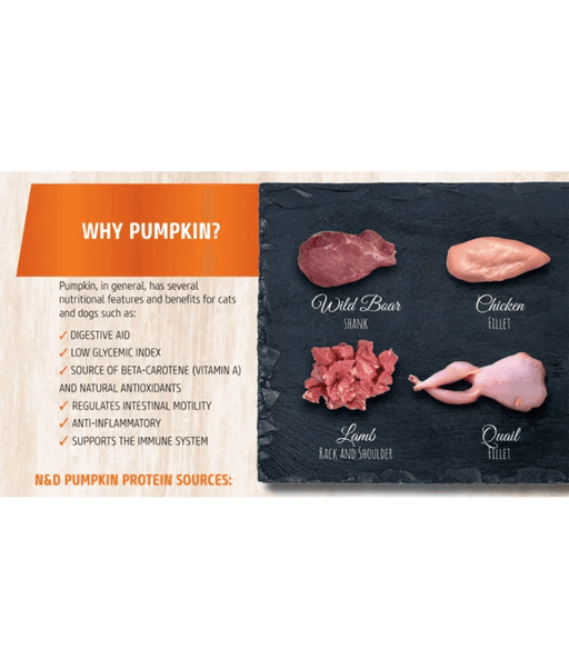 Farmina - N&D Pumpkin, Lamb, and Blueberry Adult Dog Wet Food In Gravy 285g - For Immunity Support
