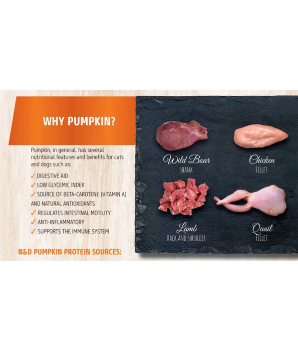 Farmina - N&D Pumpkin, Duck, Adult Dog Wet Food In Gravy 285g - For a Healthy Digestion