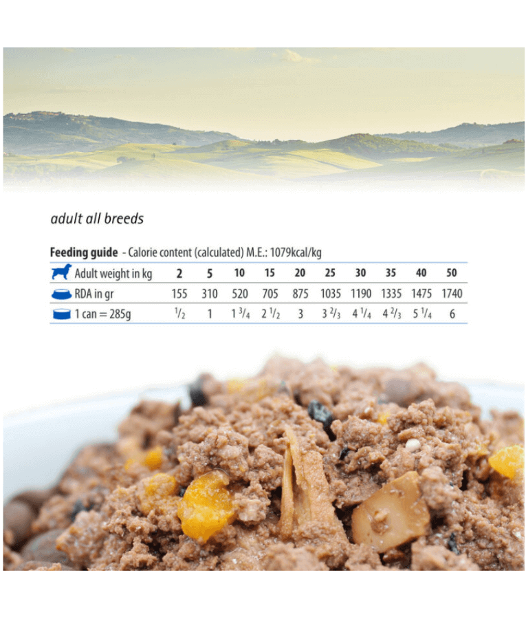 Farmina - N&D Pumpkin, Duck, Adult Dog Wet Food In Gravy 285g - For a Healthy Digestion