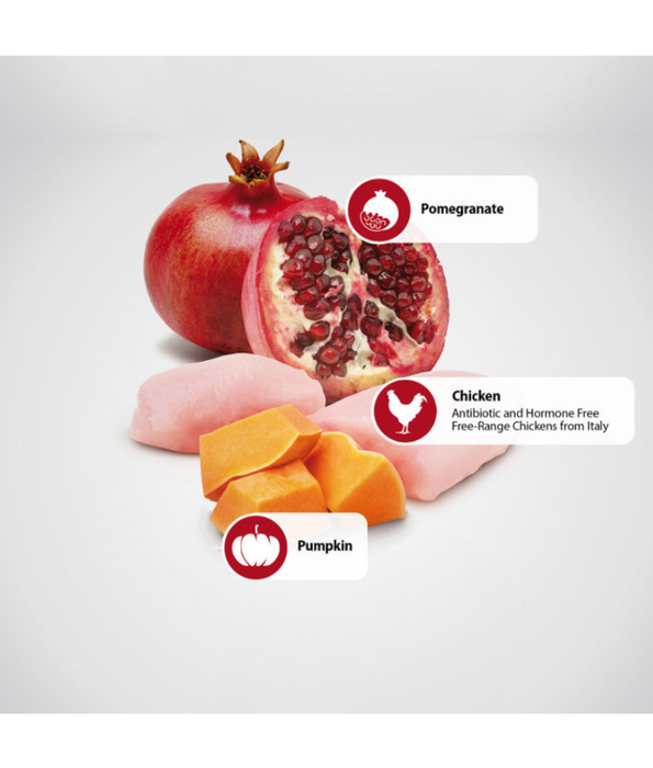 Farmina - N&D Pumpkin, Chicken, and Pomegranate Dog Wet Food In Gravy 285g - For a Healthy Digestion