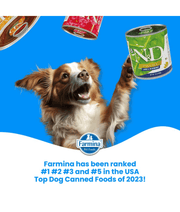 Farmina - N&D Pumpkin, Duck, Adult Dog Wet Food In Gravy 285g - For a Healthy Digestion