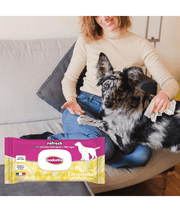 Inodorina Con Citronella Wet Wipes 40 Sheets