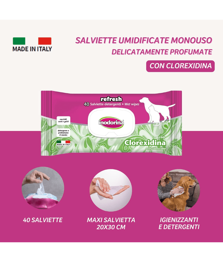 Inodorina - Clorexidina Wipes 40-100-110 sheets