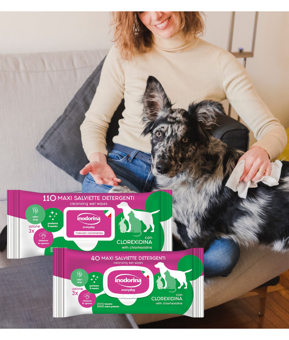 Inodorina - Clorexidina Wipes 40-100-110 sheets