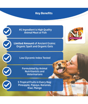 Farmina - N&D Tropical Selection, Chicken and Tropical Fruits Adult Dry Dog Food For Medium & Maxi Breeds 10kg