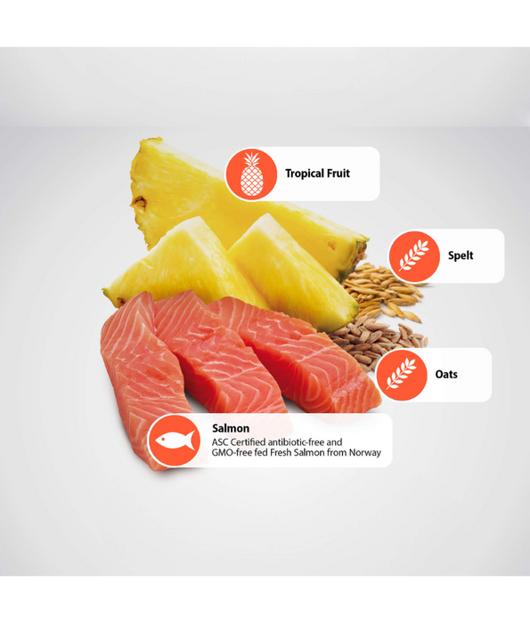Farmina - N&D Tropical Selection, Dry Dog Food - Salmon & Tropical Fruits Adult Medium & Maxi 10kg