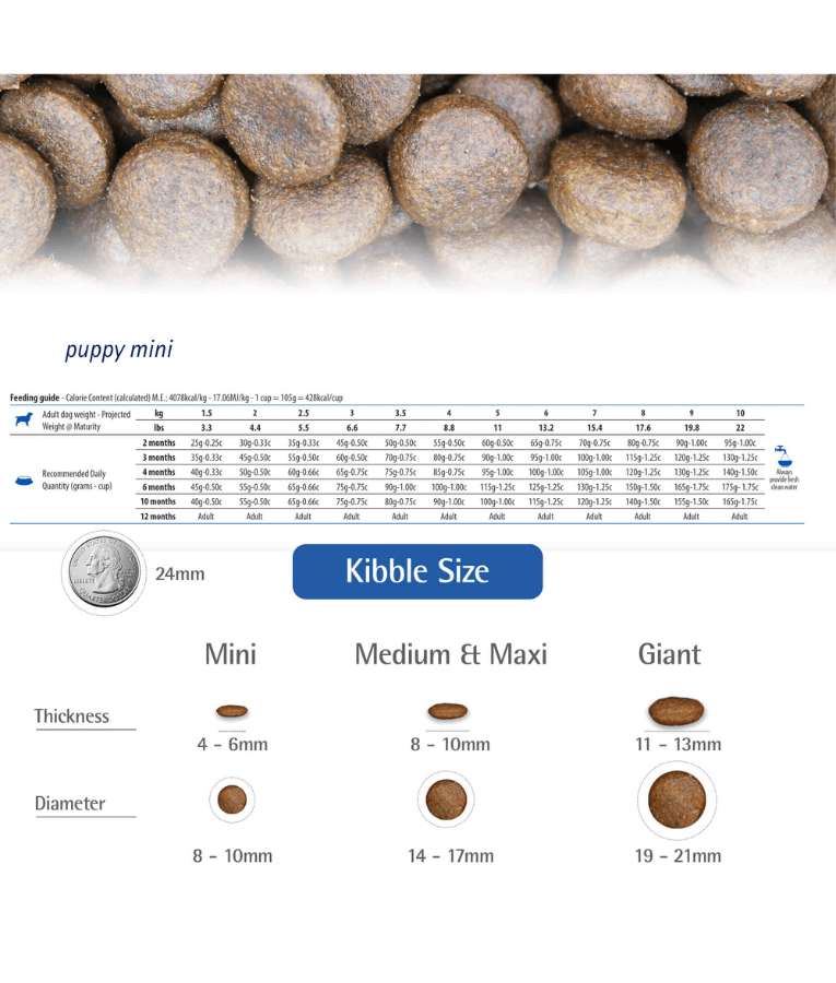 Farmina - N&D Ancestral Grain, Lamb & Blueberry Puppy Dry Dog Food For Mini and Small Breeds 2.5kg