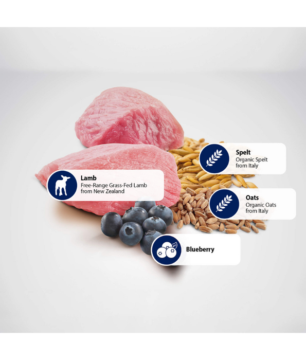 Farmina - N&D Ancestral Grain, Lamb and Blueberries Adult Dry Dog Food For Medium & Maxi Breeds 12kg