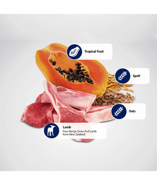 Farmina - N&D Tropical Selection, Lamb and Tropical Fruits Adult Dry Dog Food For Medium & Maxi Breeds 10kg