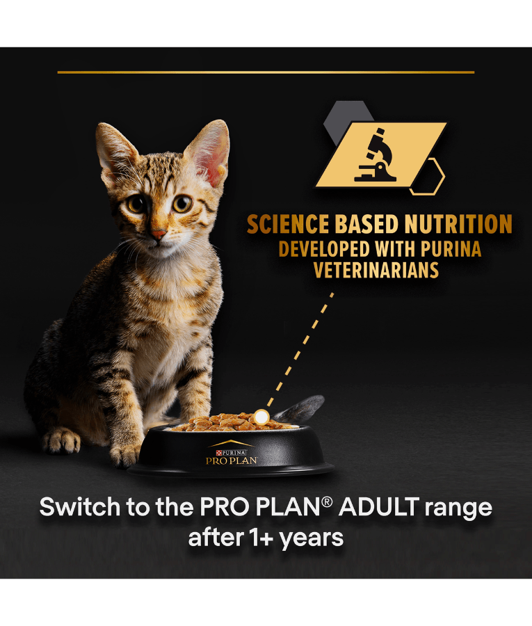 Purina - Pro Plan, Baby Kitten Wet Cat Food, Healthy Start Mousse, Rich in Chicken - 85g