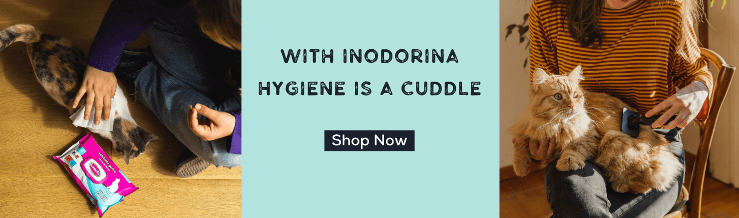Cat_Grooming_Care_2.png Petriotics