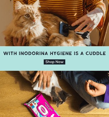 Cat_Grooming_Care_375_x_400_px.png Petriotics
