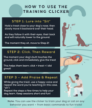 Pawise - Pet Training Clicker – Positive Behavior Reinforcement Tool
