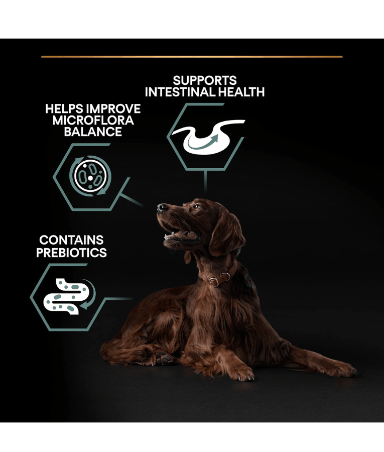 Purina - Pro Plan, Puppy Large Athletic, Sensitive Digestion Dry Dog Food, Lamb - 12kg