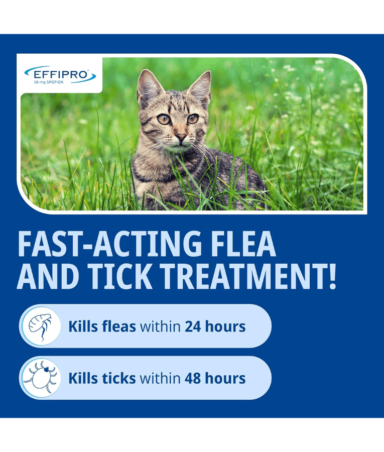 Virbac- Effipro Spot-On for Cats – Flea & Tick Protection - 2–6 kg