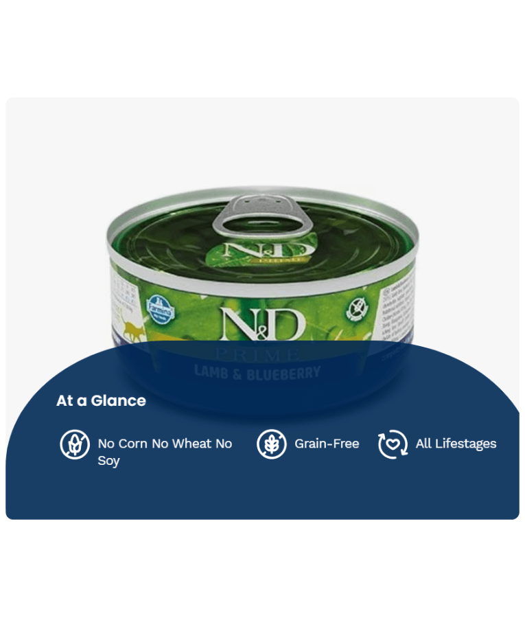 Farmina - N&D Prime, Lamb and Blueberries Grain Free Adult Wet Cat Food In Jelly 70g