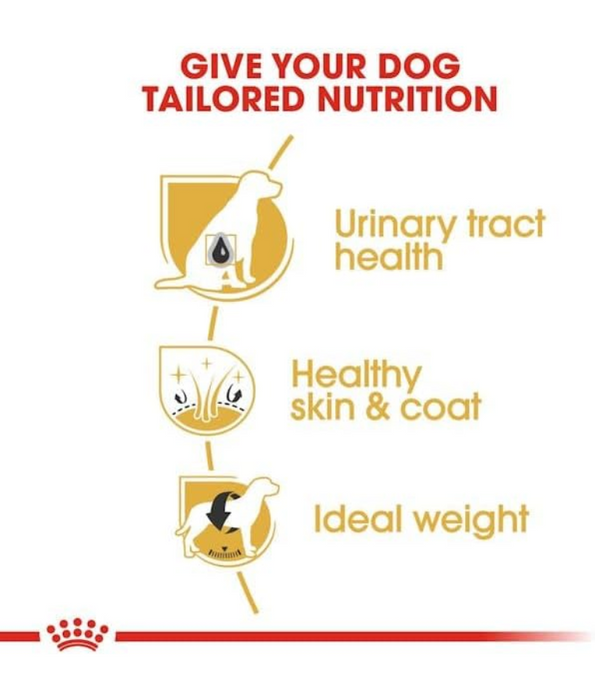 Royal Canin - Bichon Frise Adult Dry Dog Food - 1.5kg
