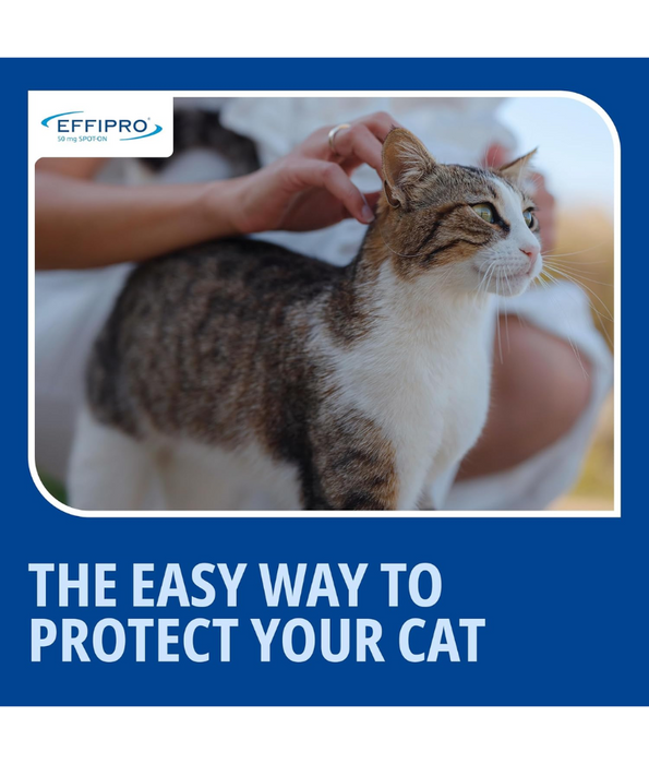 Virbac- Effipro Spot-On for Cats – Flea & Tick Treatment 2–6 kg