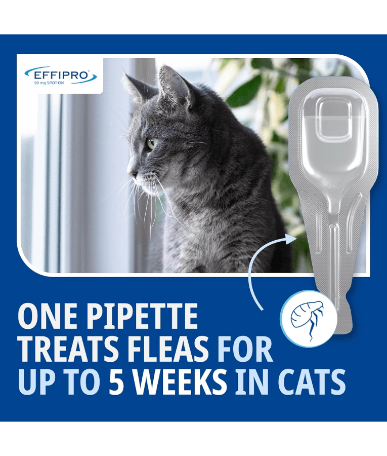 Virbac- Effipro Spot-On for Cats – Flea & Tick Protection - 2–6 kg
