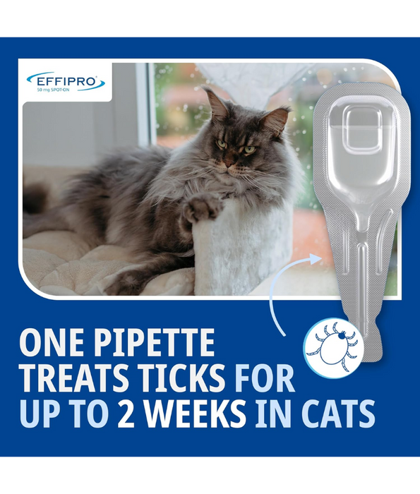 Virbac- Effipro Spot-On for Cats – Flea & Tick Treatment 2–6 kg