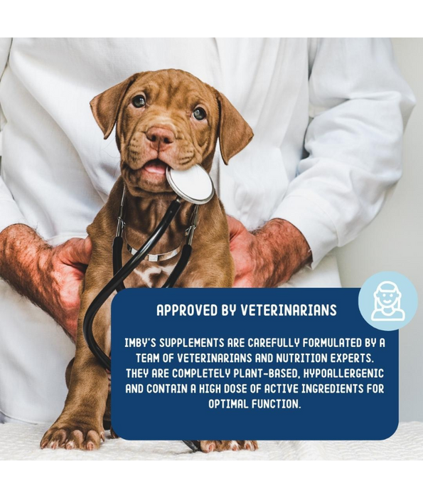 Imby – Probiotics Supplement, Improves Digestion, Reduces Gas & Supports Healthy Poops – 90 Soft Chews