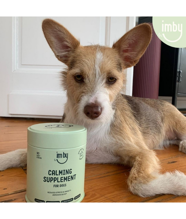 Imby – Calming Supplement, Reduces Stress & Anxiety, Improves Sleep – 90 Soft Chews