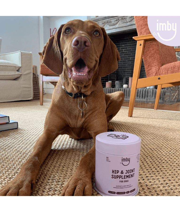 Imby - Hip & Joint Supplement, Glucosamine, Collagen, Supports Mobility & Joint Health - 90 Soft Chews
