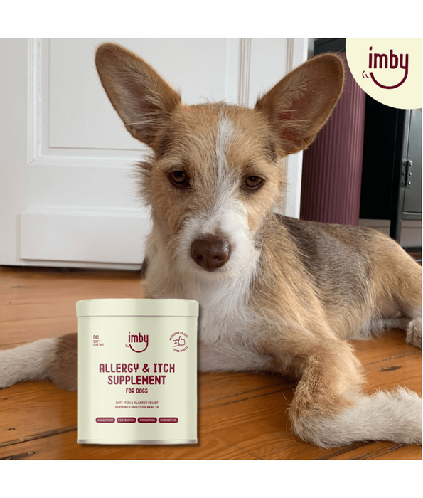 Imby – Allergy & Itch Supplement, Colostrum, Probiotics, Quercetin – Allergy Relief & Digestive Support – 90 Soft Chews