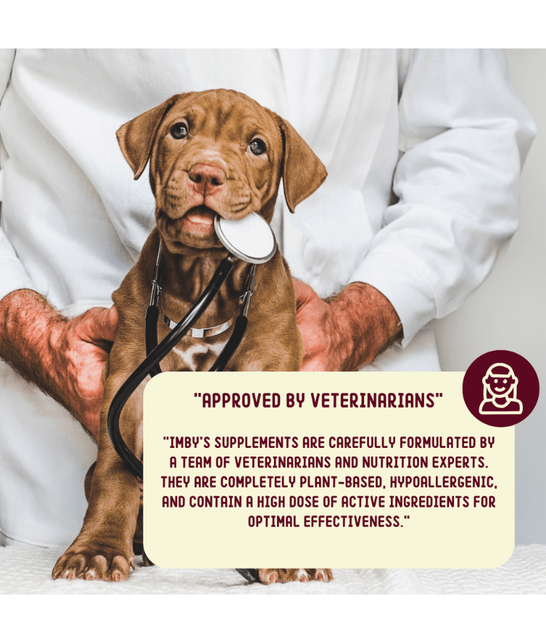 Imby - Allergy & Itch Supplement, Colostrum, Probiotics, Quercetin, Allergy Relief & Digestive Support - 90 Soft Chews