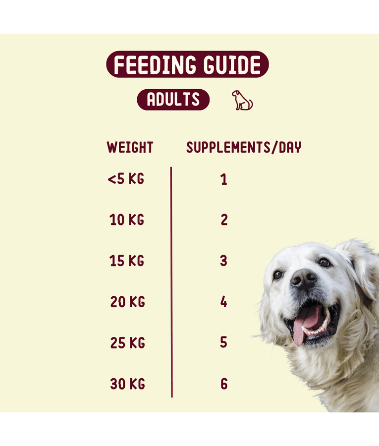 Imby - Allergy & Itch Supplement, Colostrum, Probiotics, Quercetin, Allergy Relief & Digestive Support - 90 Soft Chews