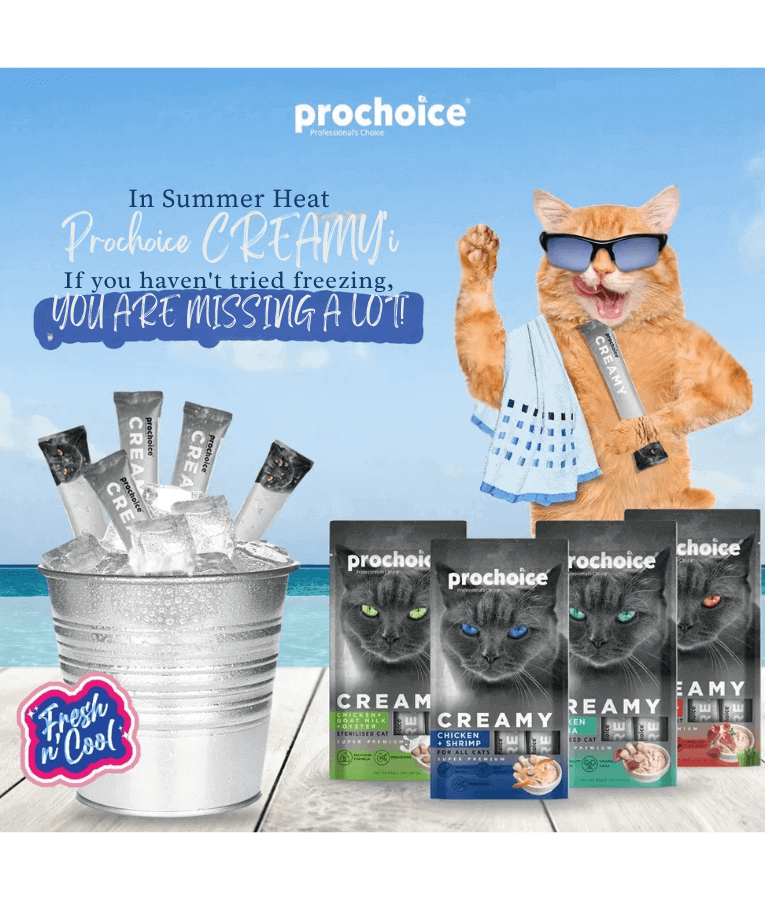 Prochoice - Creamy Urinary Support Lickable Treats, Tuna + Cranberry + Cat Grass - 4 Tubes x15g